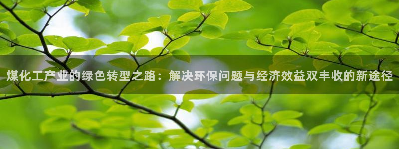 亿万先生换网址了吗：煤化工产业的绿色转型之路：解决环保问题与经济效益双丰收的新途径