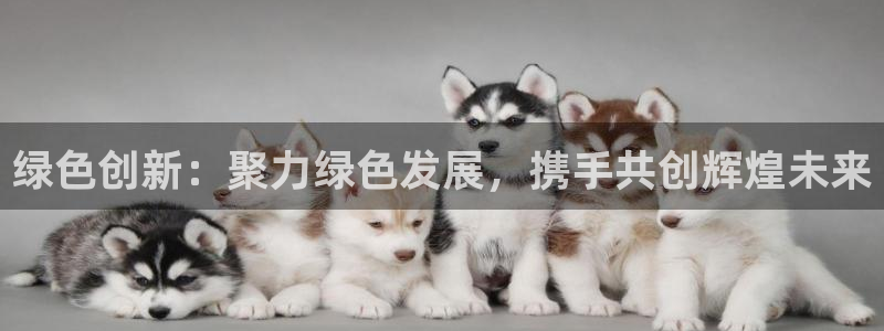 亿万先生合并网址是多少：绿色创新：聚力绿色发展，携手共创辉煌未来