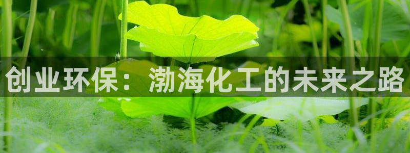 亿万国际合法吗