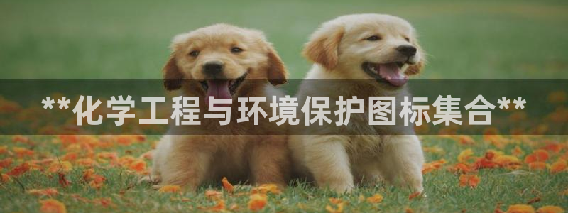 亿万第一季解说