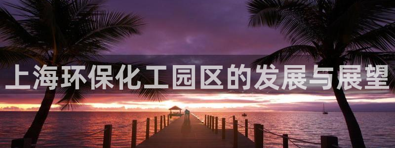 亿万先生mr01官网 - 亿万先生手机版入：上海环保化工园区的发展与展望