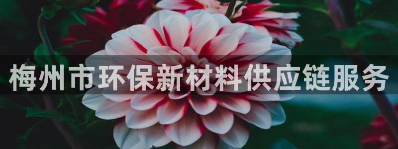 亿万先生m007：梅州市环保新材料供应链服务