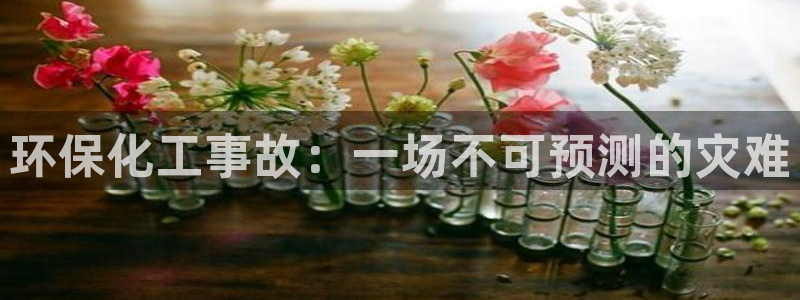 亿万先生手游下载官网：环保化工事故：一场不可预测的灾难