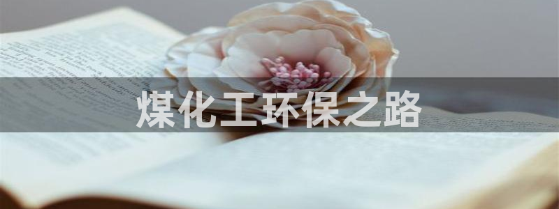 亿万先生客户端下载：煤化工环保之路