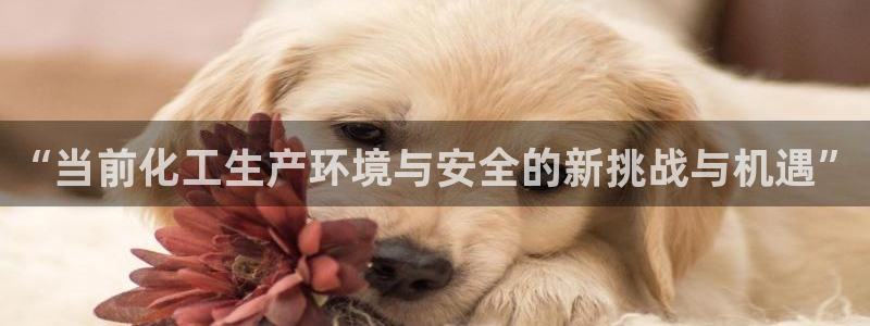 亿万先生客户端官网下载：“当前化工生产环境与安全的新挑战与机遇”