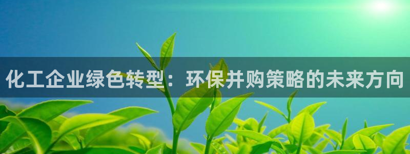 亿万官网字幕：化工企业绿色转型：环保并购策略的未来方向