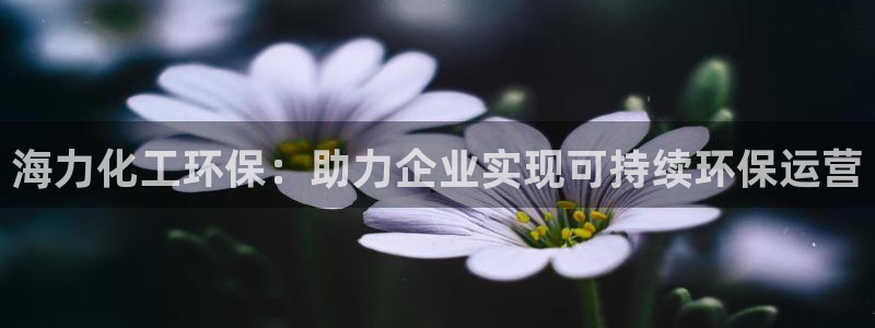 亿万先生是男是女：海力化工环保：助力企业实现可持续环保运营