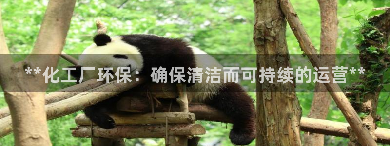 亿万先生下载客户端：**化工厂环保：确保清洁而可持续的运营**