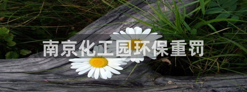 亿万先生合并网址是多少：南京化工园环保重罚