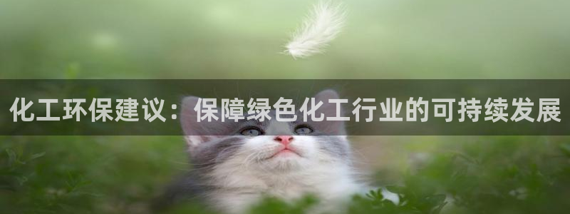 官方网站下载亿万人生：化工环保建议：保障绿色化工行业的可持续发展