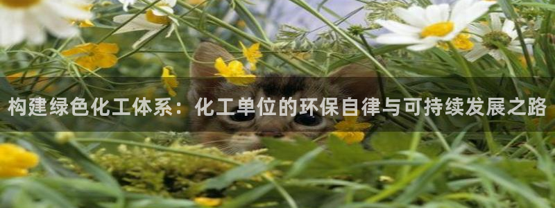 亿万先生客服联系：构建绿色化工体系：化工单位的环保自律与可持续发展之路