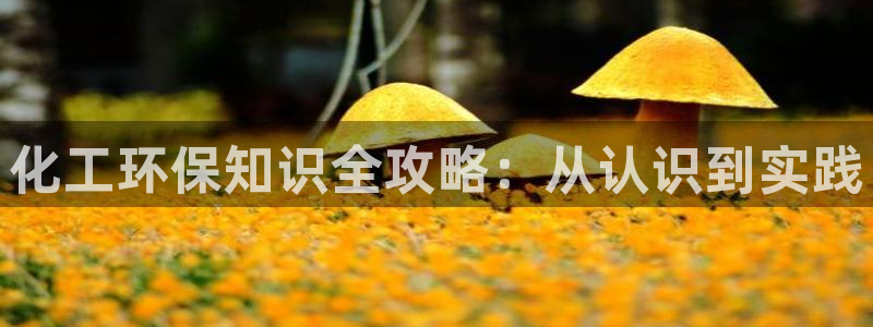 亿万小说免费阅读全文:化工环保知识全攻略:从认识到实践
