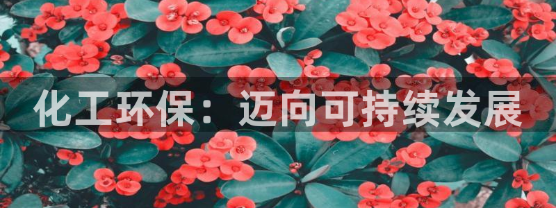 电视剧亿万：化工环保：迈向可持续发展