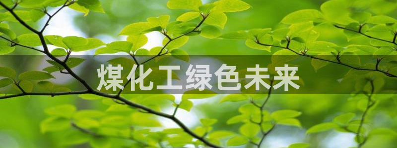 亿万先生手游下载官网：煤化工绿色未来