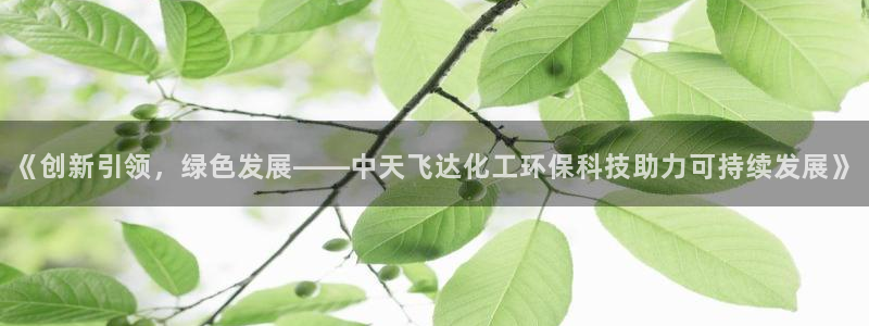 亿万先生网址生：《创新引领，绿色发展——中天飞达化工环保科技助力可持续发展》