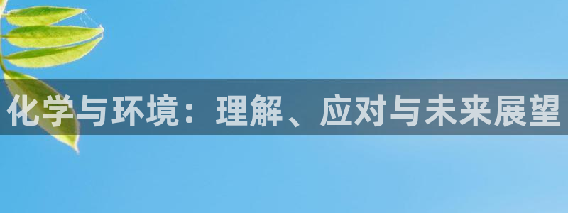 亿万先生换网址了吗：化学与环境：理解、应对与未来展望