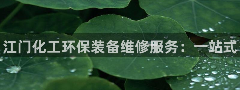 亿万先生官方客服电话：江门化工环保装备维修服务：一站式